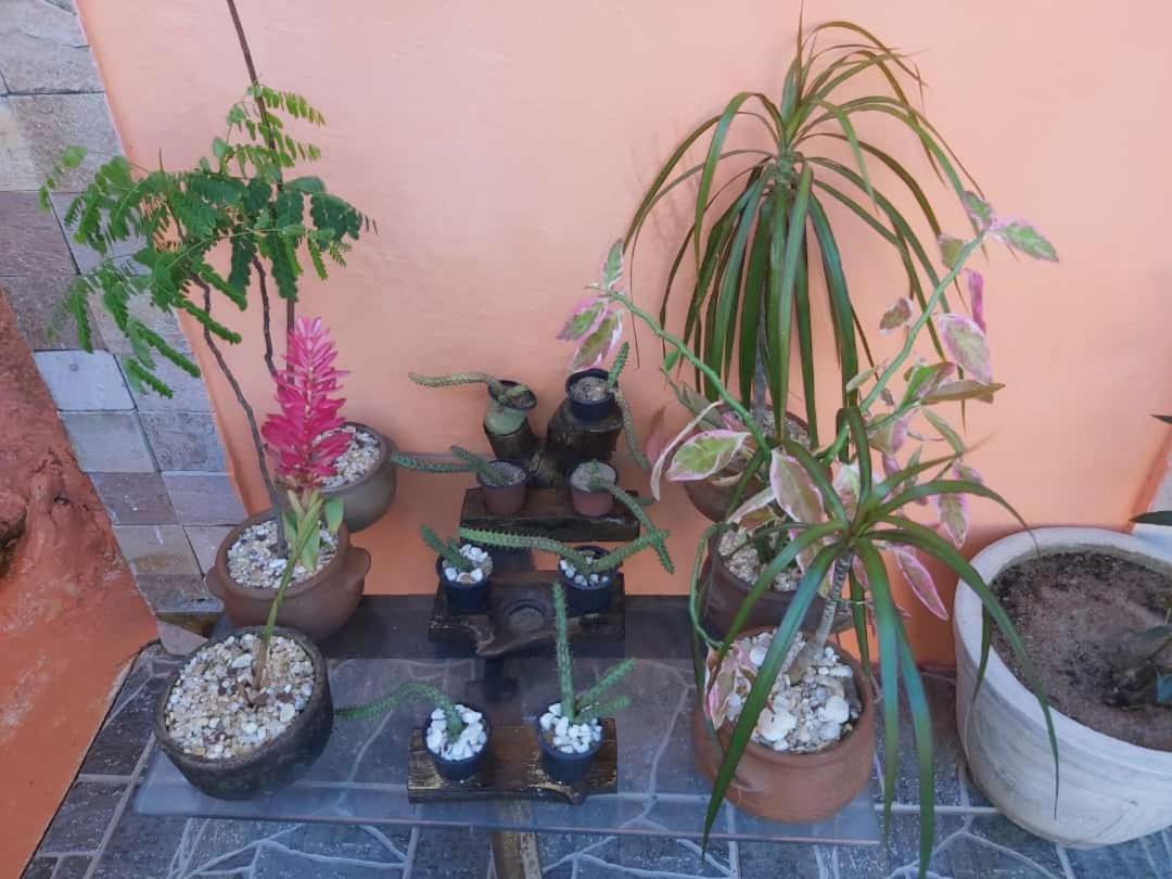 Pousada Terra Do Sol Pipa Praia de Pipa 외부 사진